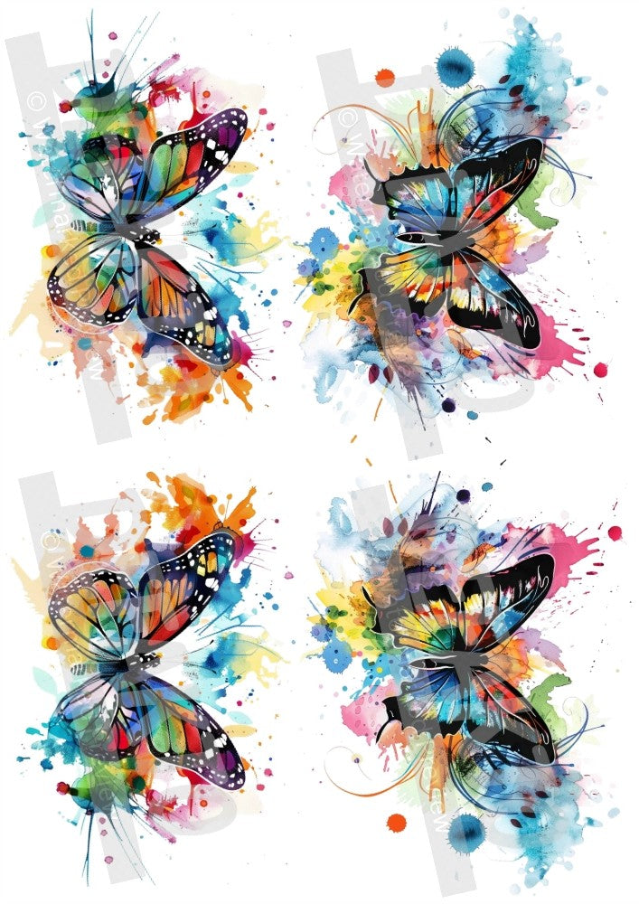 Colorful Butterfly Dream Temporary Tattoo