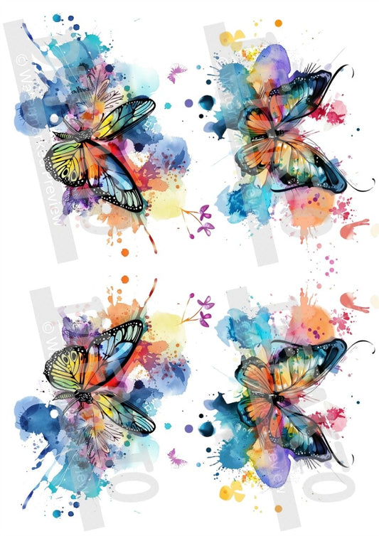 Butterfly Dream Temporary Tattoo